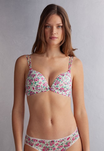 INTIMISSIMI Triangle Bra in Mixed colors: front