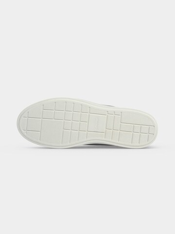 Baskets basses Calvin Klein en noir