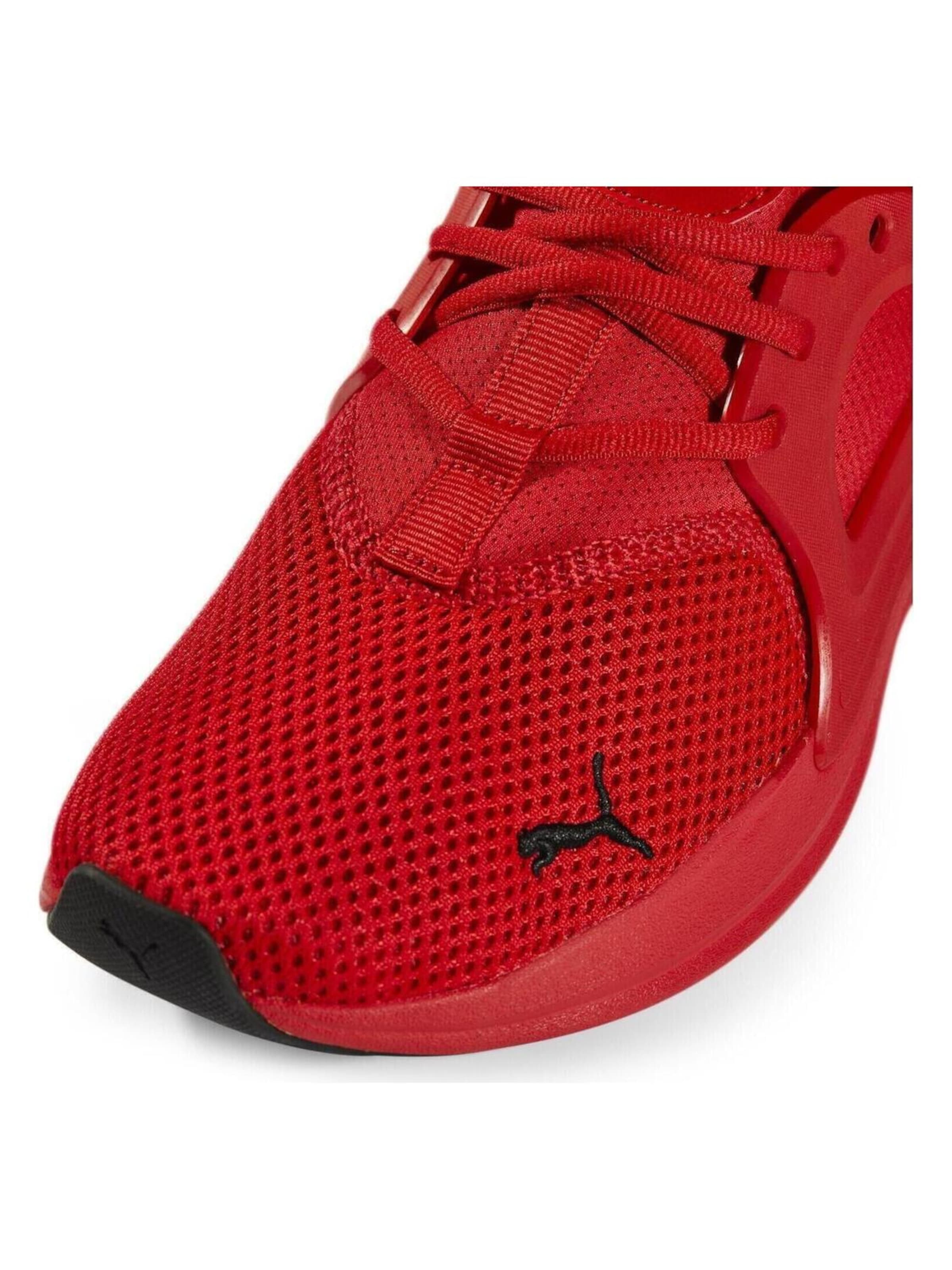 PUMA - Zapatillas deportivas bajas 'Puma Softride Enzo Evo High' en rojo