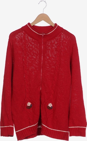 HAMMERSCHMID Sweater & Cardigan in XL in Red: front