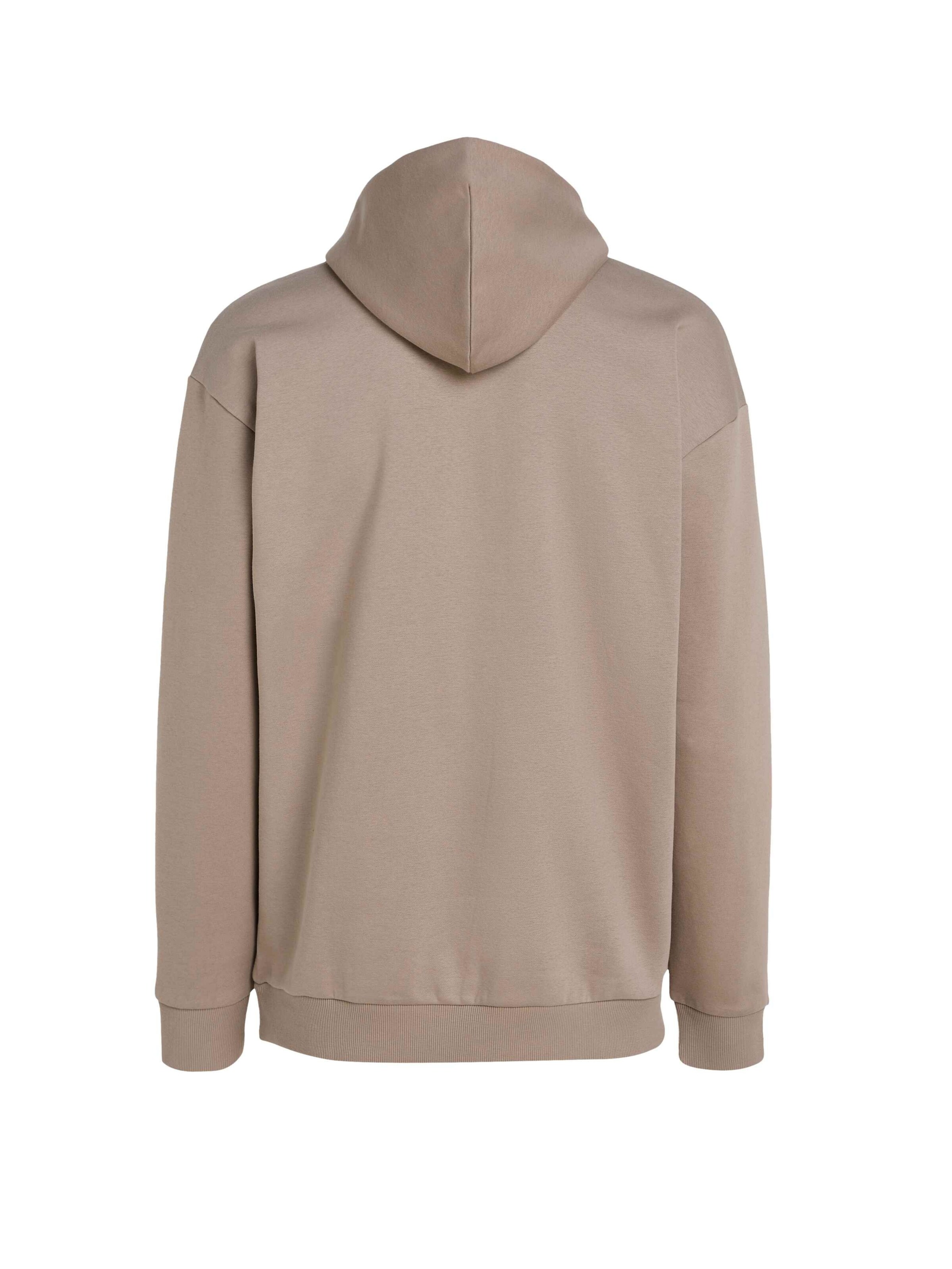 Sweat-shirt 'Future Surf Society' O'NEILL en marron