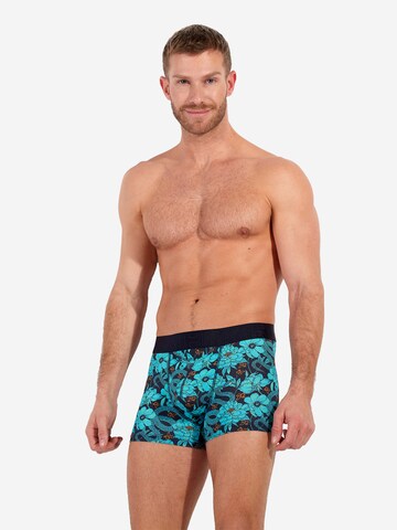 HOM Boxer shorts 'Funky Style HO1' in Blue: front