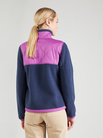 THE NORTH FACE Athletic Fleece Jacket 'ROYAL ARCH' in Blue