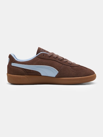 PUMA Sneakers 'Palermo' in Brown