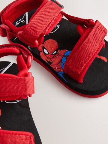 Next Sandale 'Spiderman' in Rot