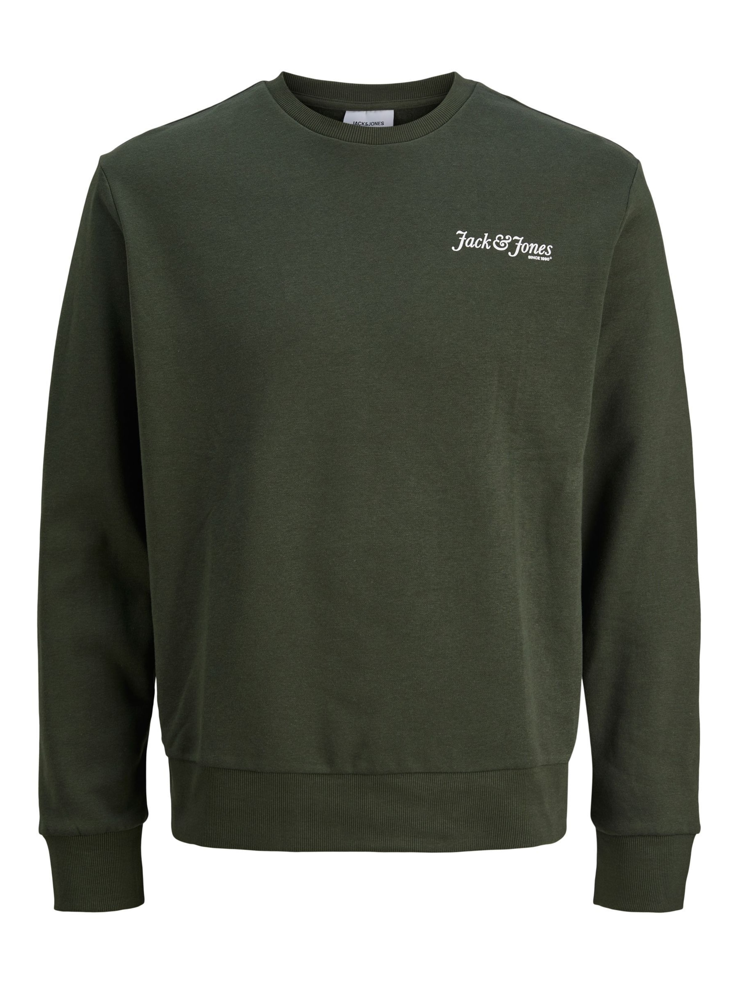 Jack & Jones Plus Sweatshirt in Groen: voorkant