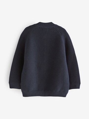 Next Strickjacke in Blau