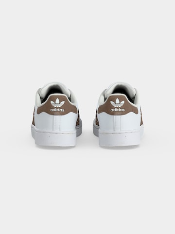 Sneaker 'SUPERSTAR II C' di ADIDAS ORIGINALS in bianco
