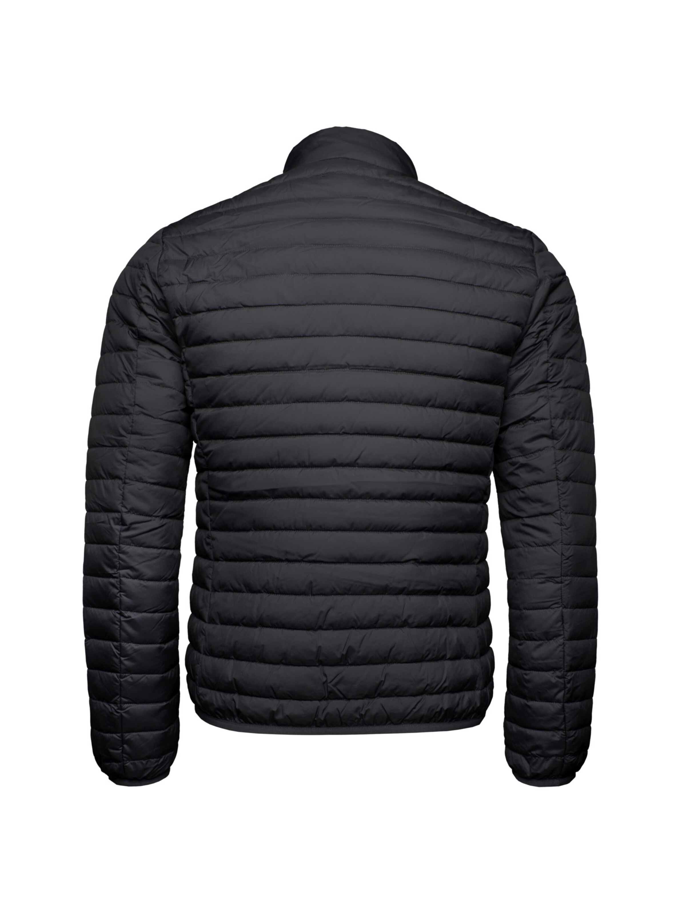 SAVE THE DUCK Tussenjas 'Cole' in Zwart