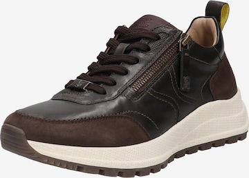 Baskets basses SALAMANDER en marron : devant