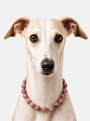 Unleash Cph Hundekette mit echten Rhodonit, Länge: ca. 42 - 48 cm in Pink: Vorderseite