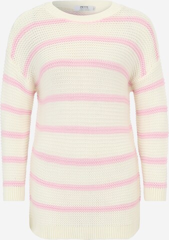 Dorothy Perkins Petite Sweater in Pink: front