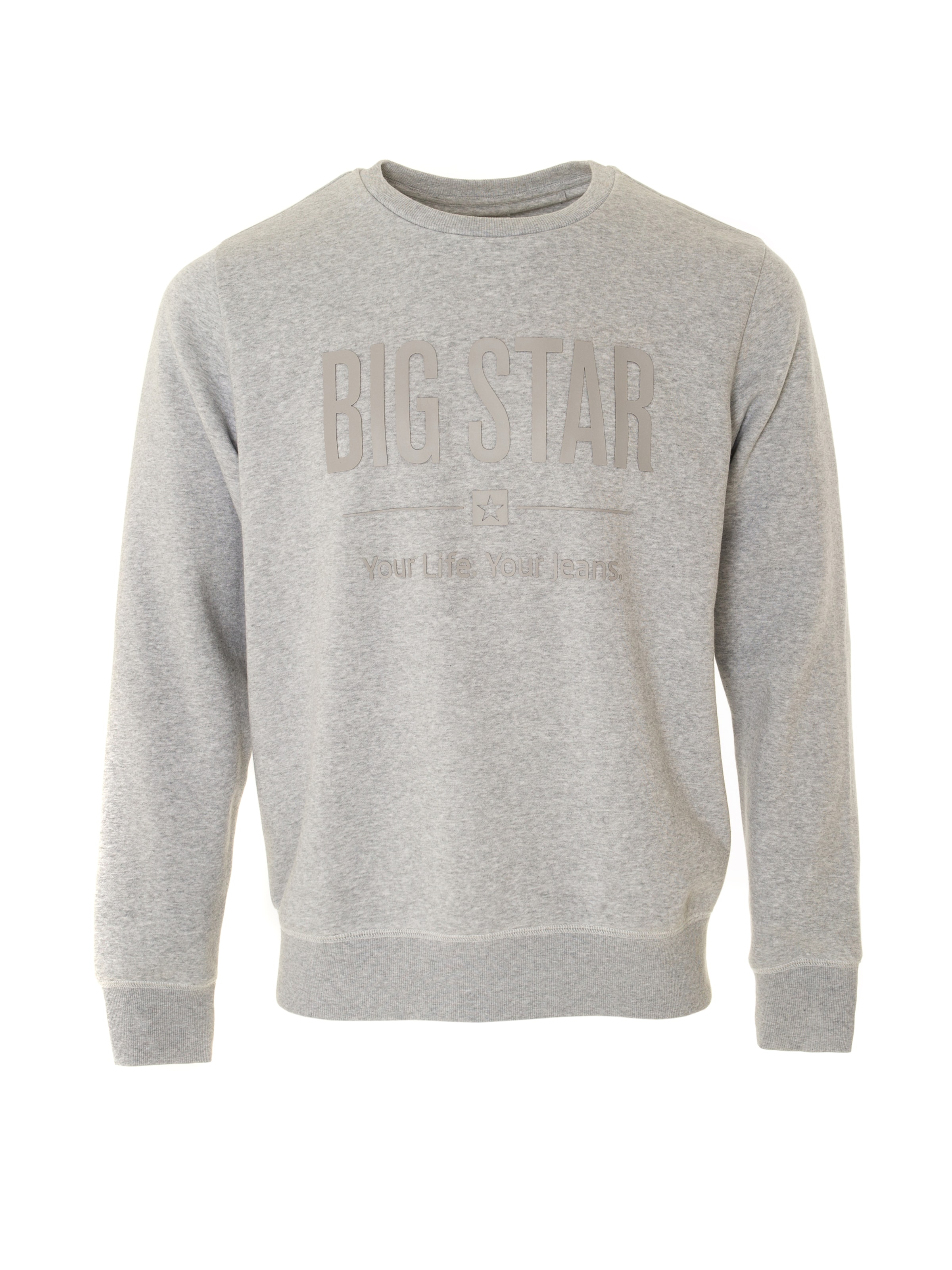 Felpa 'Ecodort' di BIG STAR in grigio: frontale