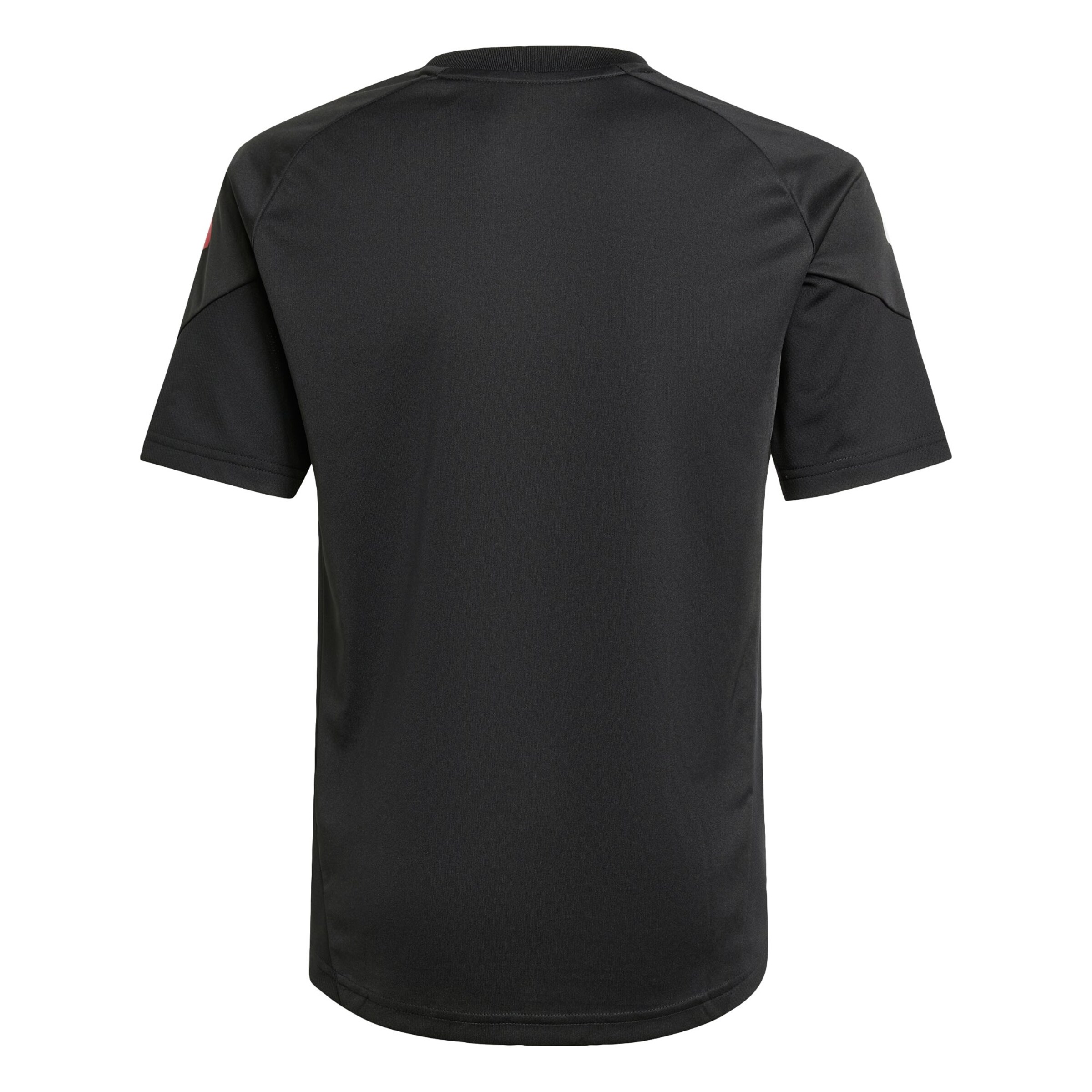 ADIDAS PERFORMANCE - Camiseta funcional 'Ajax Tiro 25 Competition' en negro