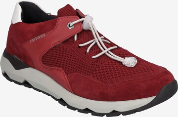 JOSEF SEIBEL Sneakers 'Jeremiah 02' in Red