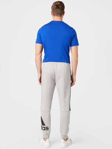 Tapered Pantaloni sportivi 'Essentials Colorblock Fleece' di ADIDAS SPORTSWEAR in grigio