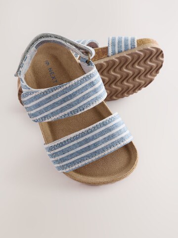 Next Open shoes in Blue
