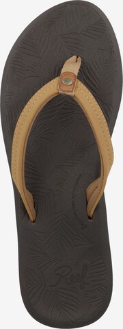 REEF T-Bar Sandals 'Tides' in Brown