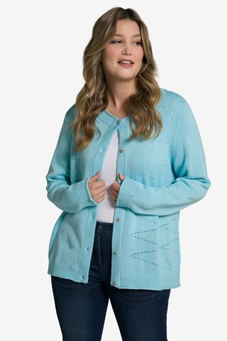 Ulla Popken Strickjacke in Blau: predná strana