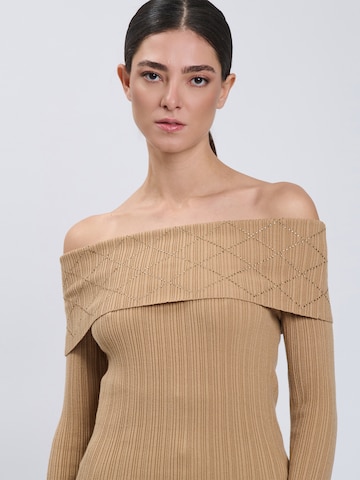 Influencer Pullover in Braun