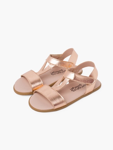 Sandales Pisamonas en marron