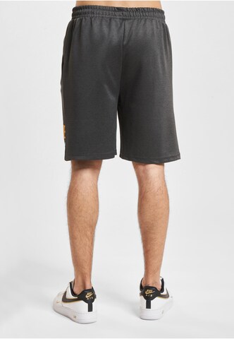 regular Pantaloni di European League of Football in grigio