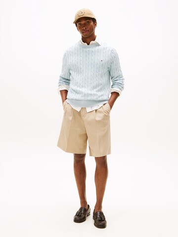 TOMMY HILFIGER Trui in Blauw