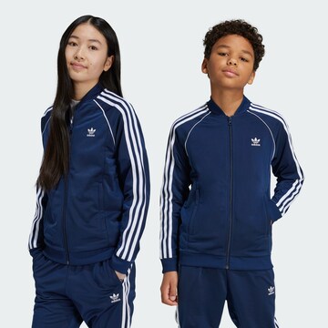 ADIDAS ORIGINALS Кофта на молнии 'Adicolor' в Синий: спереди