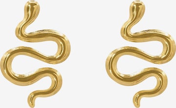 Heideman Earrings 'Junia ' in Gold: front