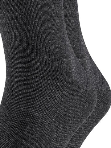 FALKE Socks 'Happy 2-Pack' in Grey