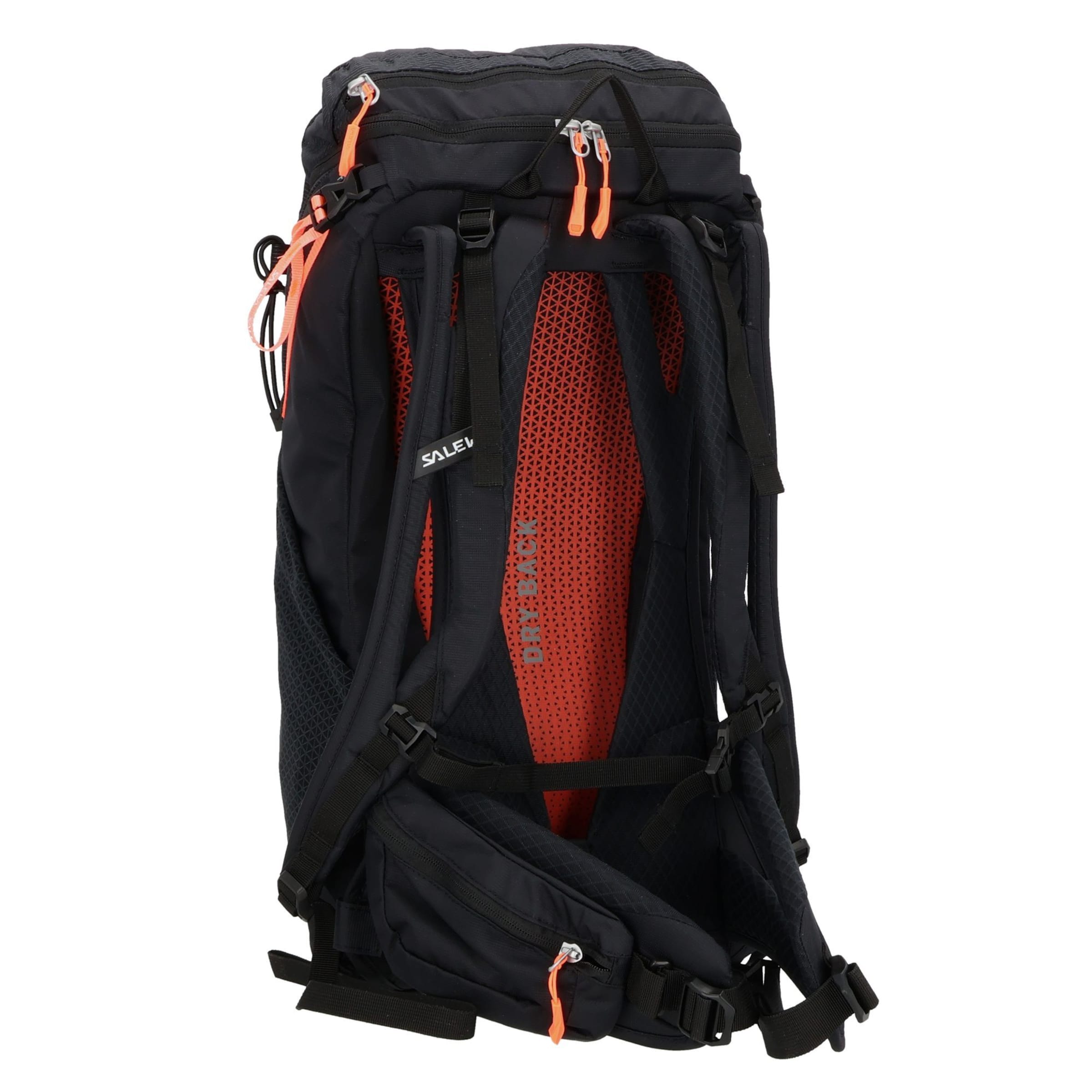 SALEWA Sports backpack 'Alp Trainer' in Black