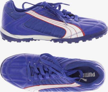 PUMA Sneakers & Trainers in 37,5 in Blue: front
