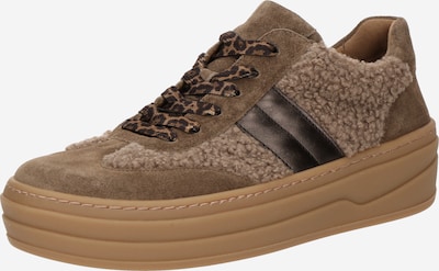 GABOR Sneaker in schoko / mokka / dunkelbraun, Produktansicht