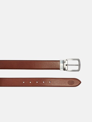 The Bridge Belt in Brown