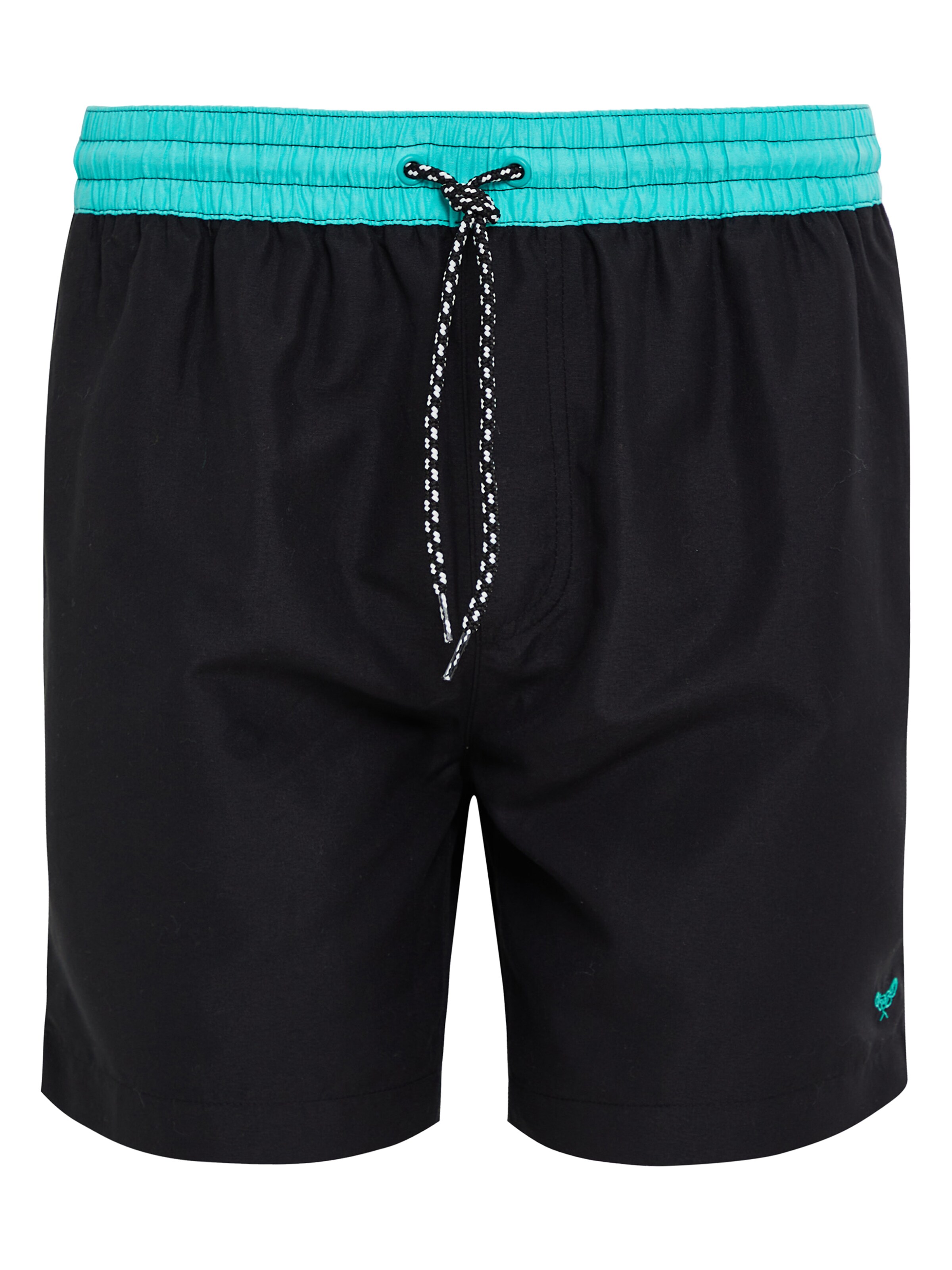 Threadbare Board Shorts 'Penglai' in Black: front