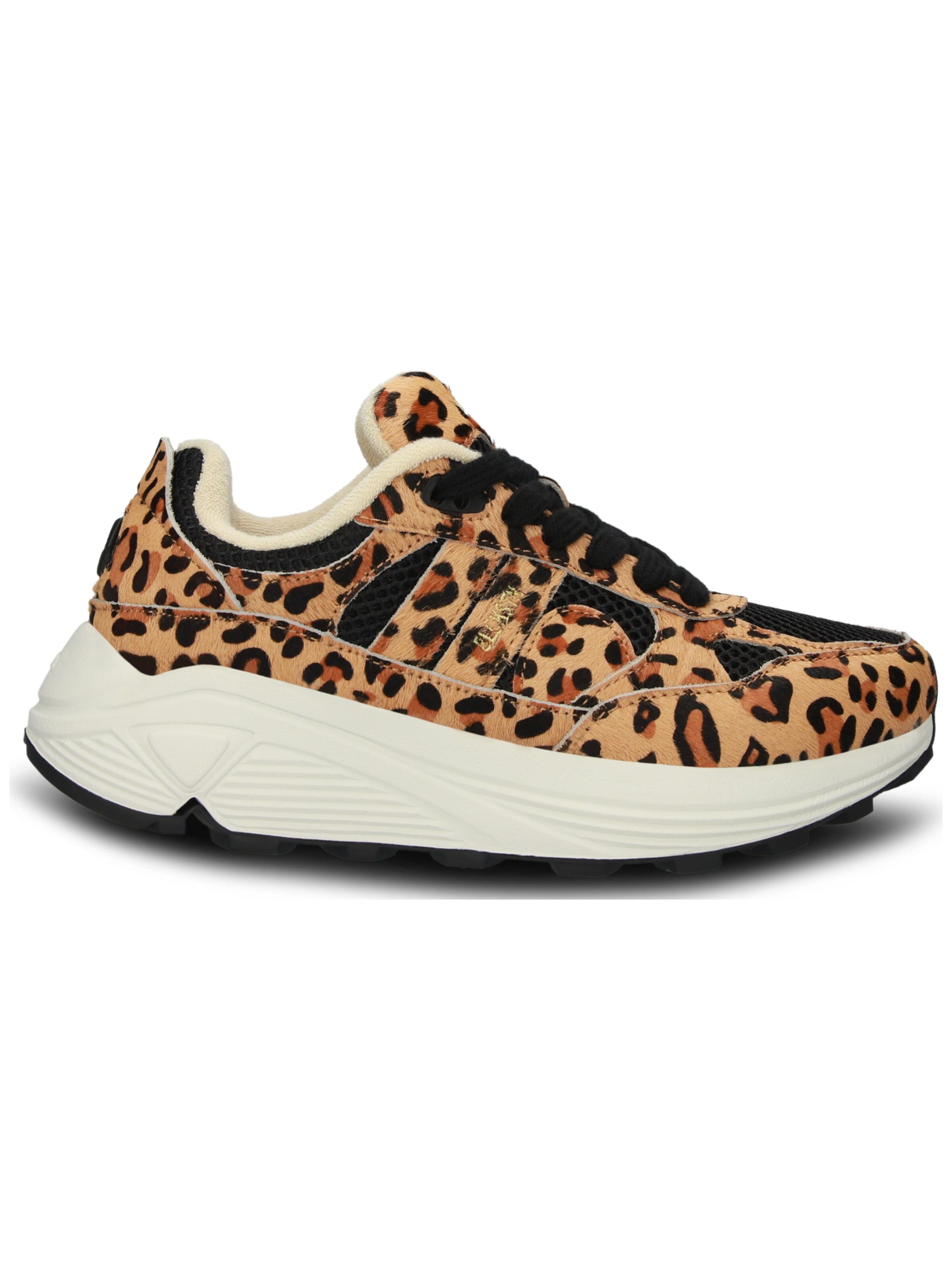Sneaker bassa 'V-RILEY' di BLACKSTONE in marrone
