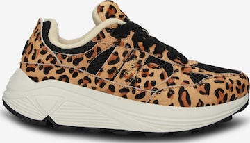 BLACKSTONE Sneakers laag 'V-RILEY' in Bruin: voorkant