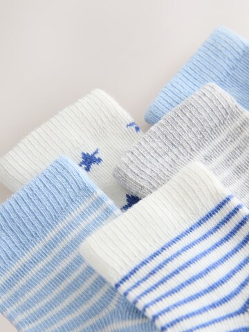 Next Socks in Blue