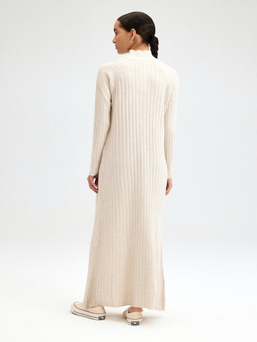 Touche Prive Dress in Grey