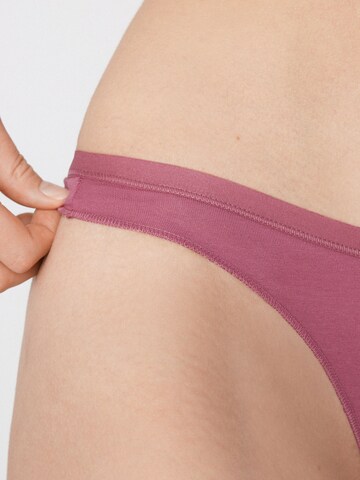 Tezenis Thong in Pink