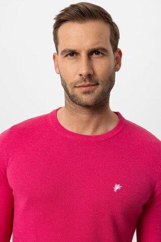 DENIM CULTURE Sweater 'LEVIN' in Pink