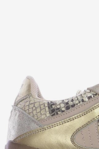 sacha Sneakers & Trainers in 36 in Beige