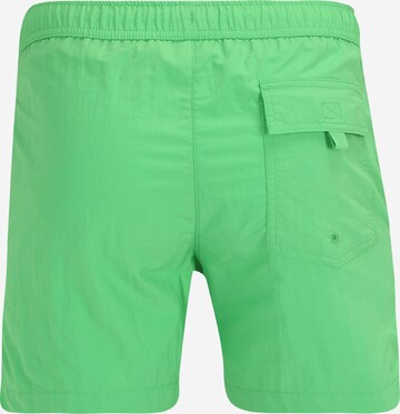 Champion Authentic Athletic Apparel Regular Zwemshorts in Groen