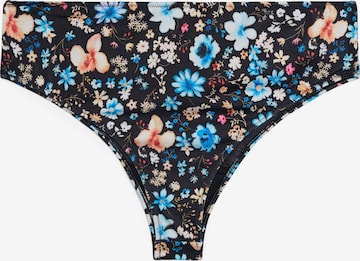 juoda Swim by Zizzi Bikinio kelnaitės 'Caanne': priekis