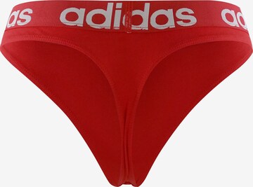 Sous-vêtements de sport ' Realasting Cotton ' ADIDAS SPORTSWEAR en rouge