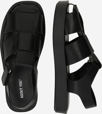 ABOUT YOU - Sandalias 'Nilay' en negro