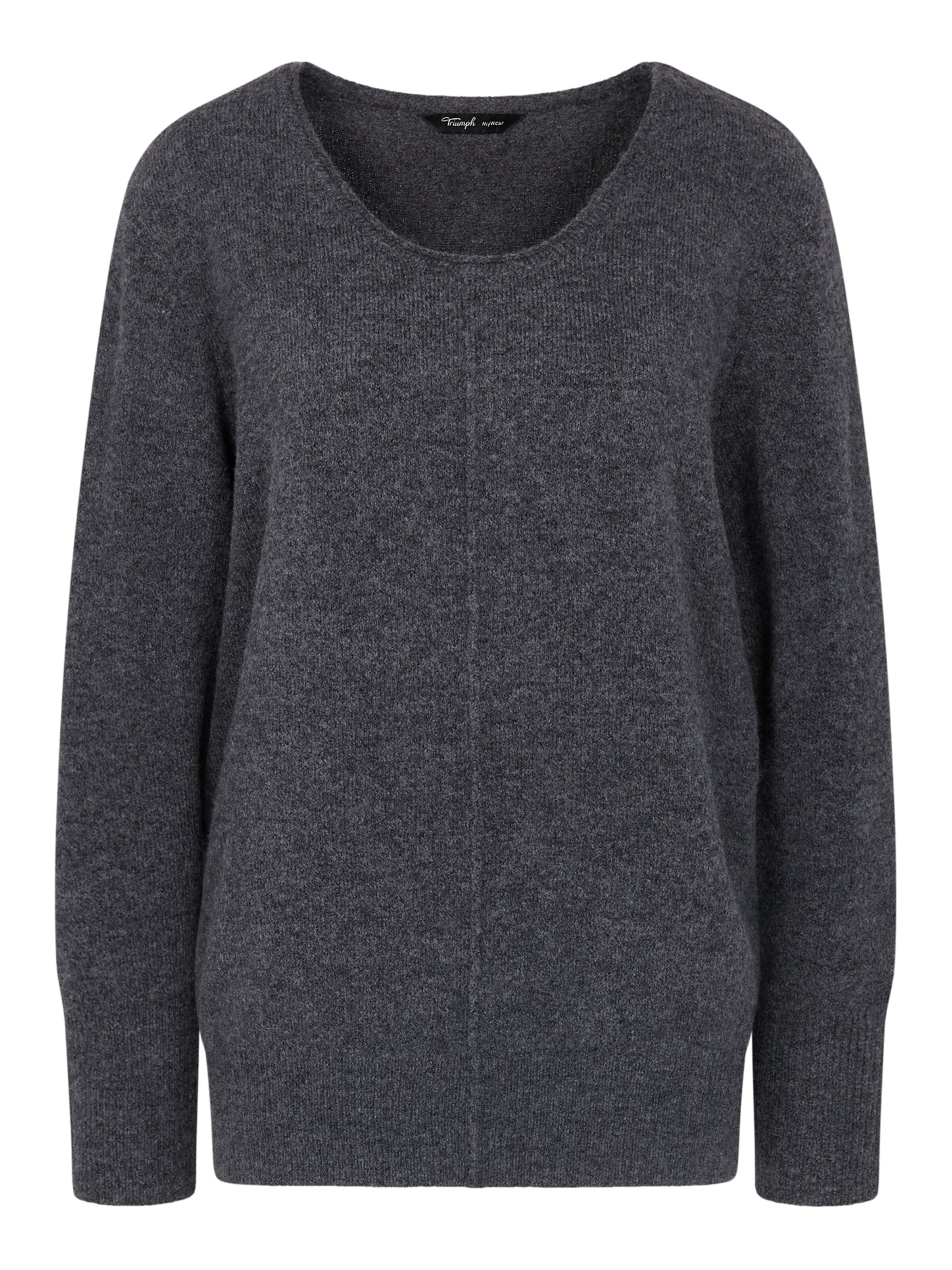TRIUMPH Sweatshirt ' Amourette Cozy ' in Grey: front