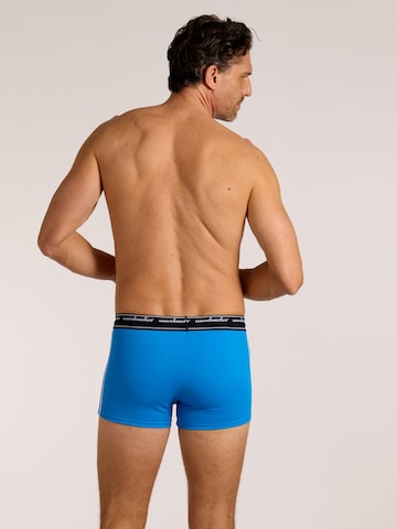 wavebreaker Swim Trunks in Blue