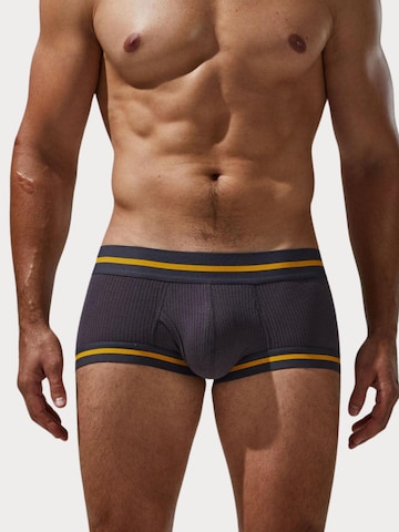 TAUWELL Boxershorts in Braun: Vorderseite