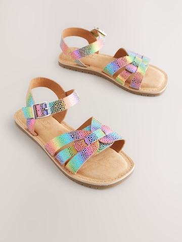 Next Sandal i blandade färger